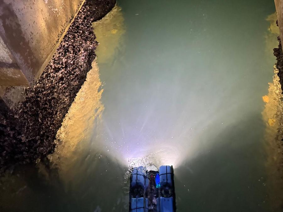 ROV submerso iluminando estacas